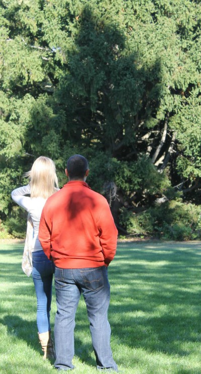 contemplating couple in the park Contemplating Couple in the park