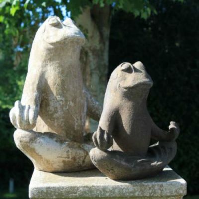 sustain my success coaching meditating frogs